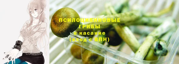 jwh Богородск