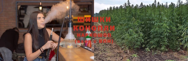 jwh Богородск