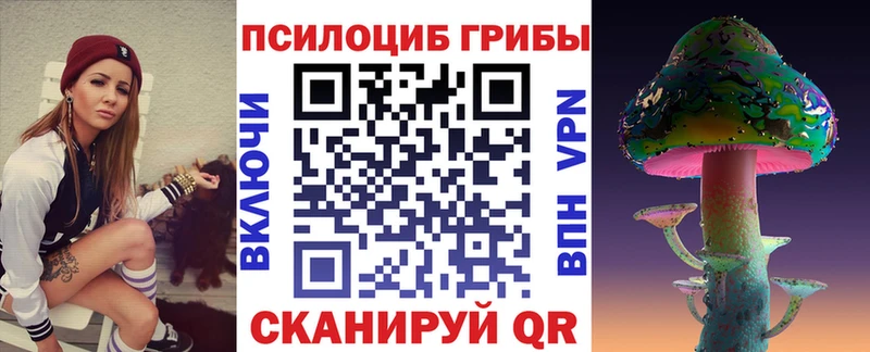 где купить наркоту  Шимановск  Галлюциногенные грибы Cubensis 