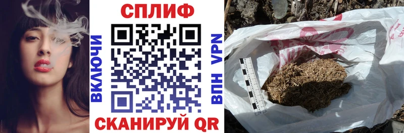 где продают наркотики  Шимановск  Бошки марихуана план 